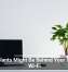Houseplants Might Be Behind Your Sluggish Wi-Fi